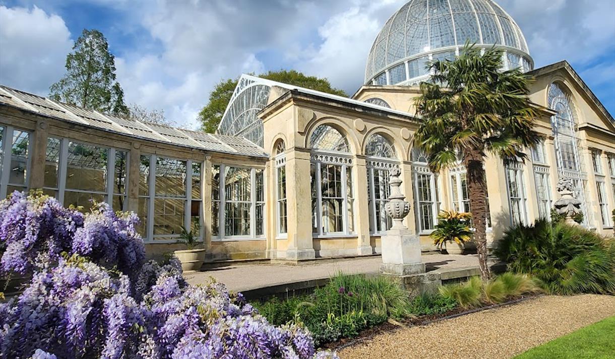 THE SPACES THAT HOLD US: REFLECTIONS FROM SYON PARK